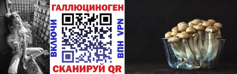 Купить где  Бузулук  Галлюциногенные грибы Cubensis 